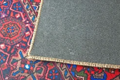 Cleopatra matto, eri kokoja