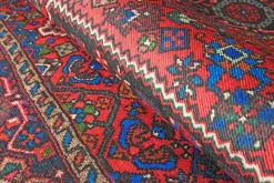 Cleopatra matto, eri kokoja
