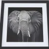 Ellie taulu, 50x50 cm
