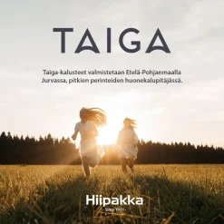 Hiipakka Taiga 4.10 tv-taso/ senkki