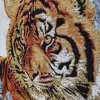 Isla Tiger matto, 160x235cm