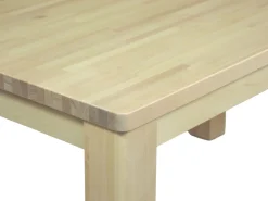 Kanerva ruokapöytä 220x100, koivu