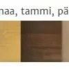 Mauno Tuppi Oy Ovikaappi, 200x80