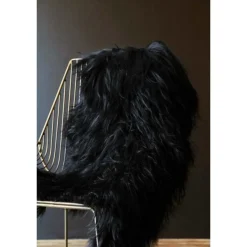 Musta pidempi 100-110 cm lampaantalja, Icelandic, pitkä karva